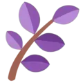 nk