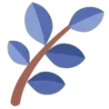 nk