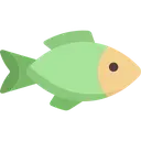 greenfish