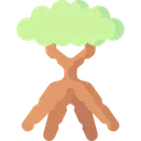 nk