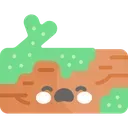 musgo