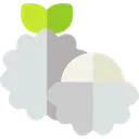 lichiplateado