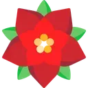 poinsettia