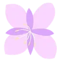 violeta