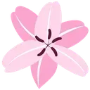 nk