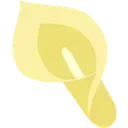 nk