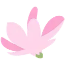 nk