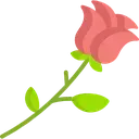 nk