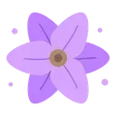 nk