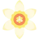 nk