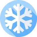 winter_token_2024
