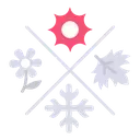 solara