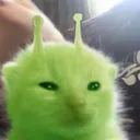 narp