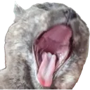 mimsyyawning mimsyyawning