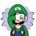 1094mariobrosluigicry