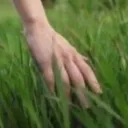 touchgrass