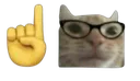 CatNerd CatNerd