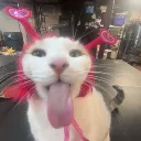 silly