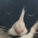 emoji_21