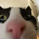 emoji_38
