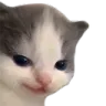 hehe