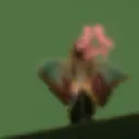 mad