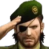 salute