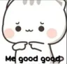 4square_megoodgood