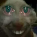 sdd
