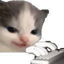 hehechatting