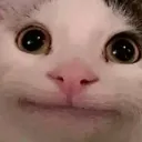 eeeeeee