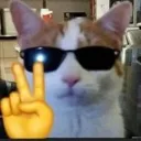 swag