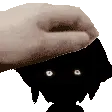 basil_pet4