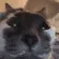 CatoWeird CatoWeird