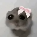 imjustagirl