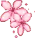 6_hkflowers