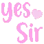 Text_Yessir