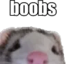 BOOBIES