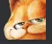 garf2