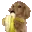 doglookinghungryandsnacking