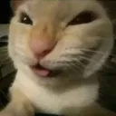 J_HEHEHHEE