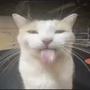 blem