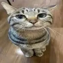 sit