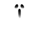 MHGhost