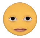 bro
