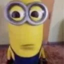 sus
