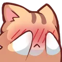 nekocat_shy