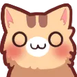 Neko_cat_owo