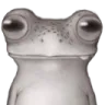 Starege