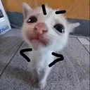 EXCUSEME EXCUSEME